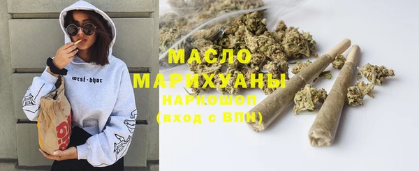 гидра Богданович