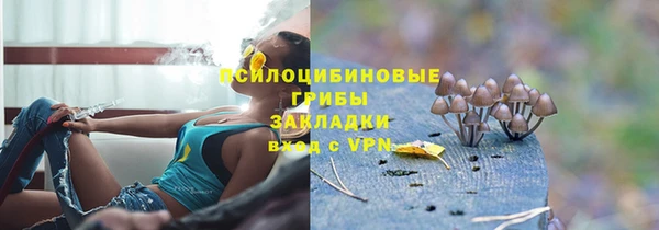 марки lsd Бородино