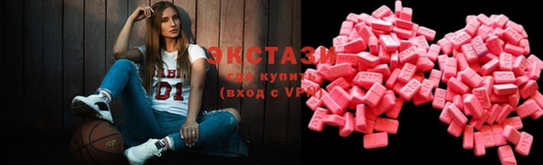 гидра Богданович