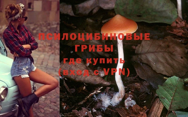 марки lsd Бородино