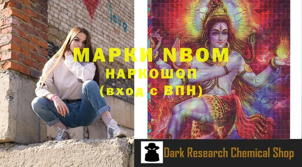 гидра Богданович