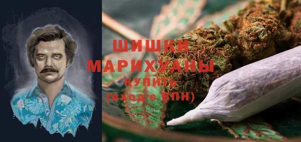 гидра Богданович