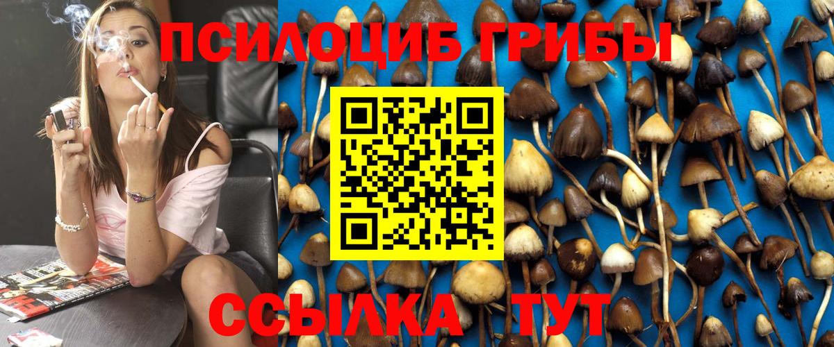 Галлюциногенные грибы GOLDEN TEACHER  Вход с VPN  Псилоцибиновые грибы мухоморы  Кузнецк 