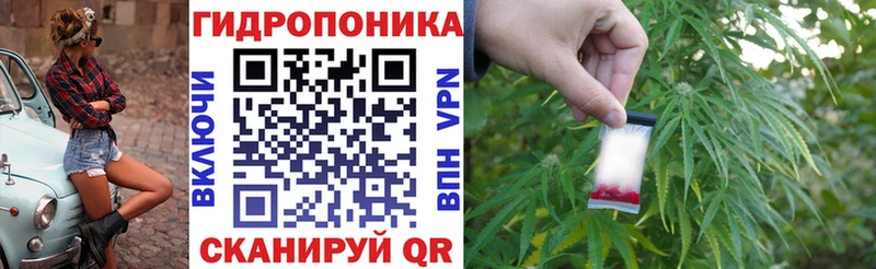 ОМГ ОМГ зеркало  закладки  Кузнецк  Конопля семена 
