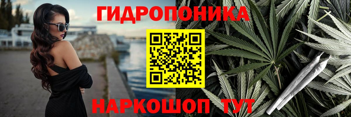 Кузнецк  Каннабис OG Kush  Конопля планчик  Вход с VPN  Конопля VHQ  Марихуана VHQ 